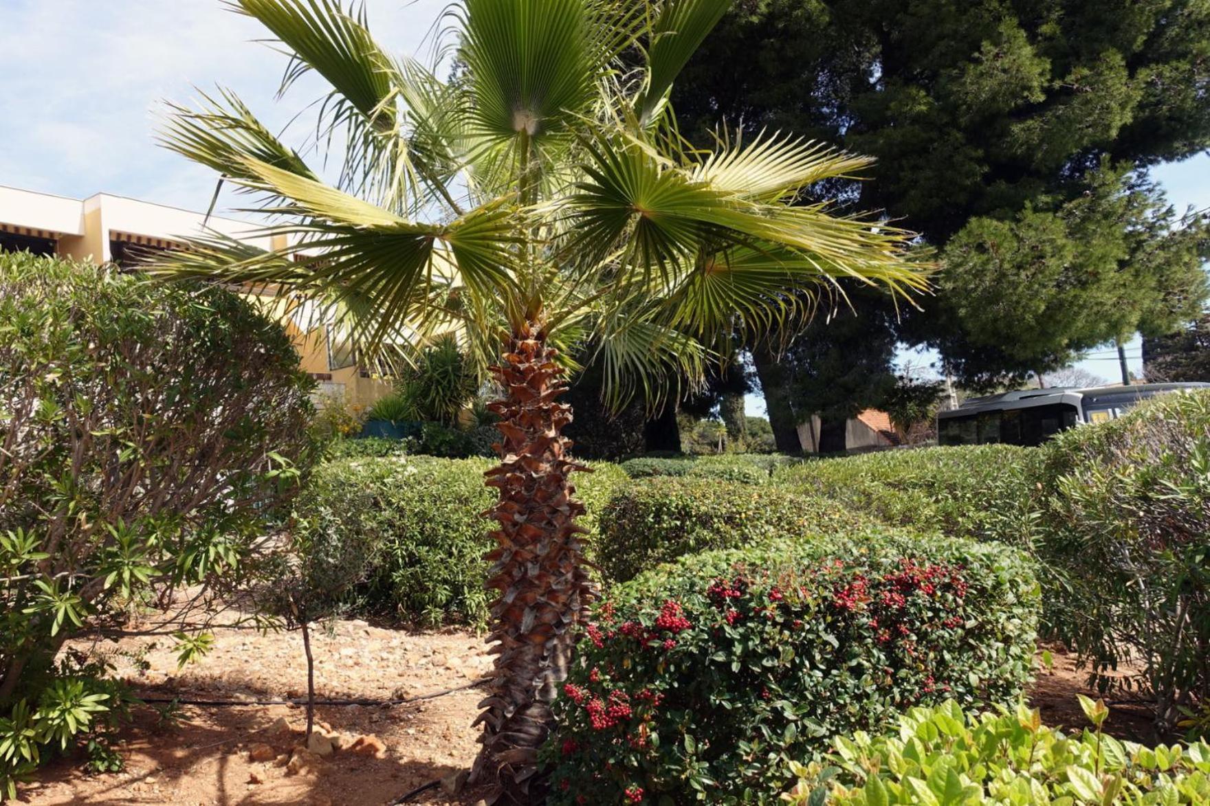 Les Jardins De Bandol, Piscine Privee, Belle Vue Mer Εξωτερικό φωτογραφία