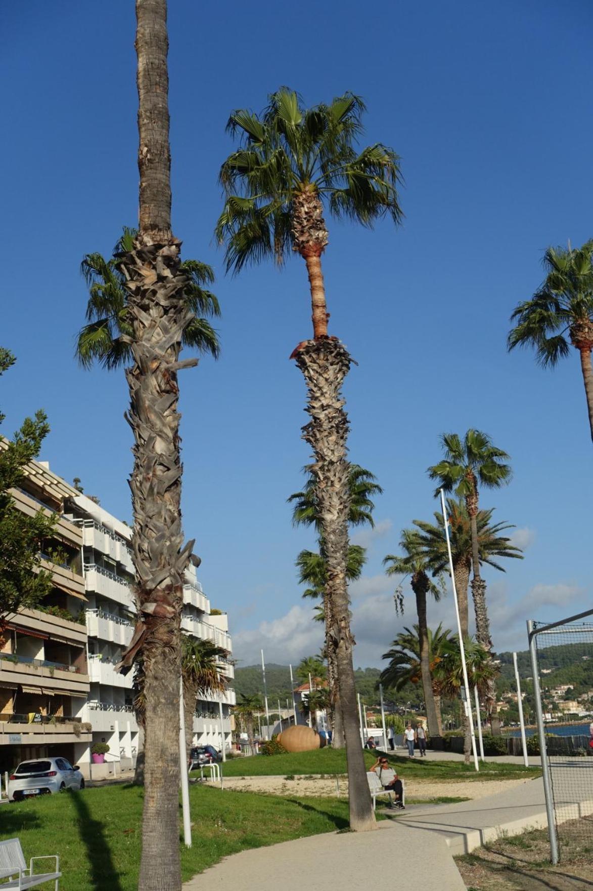 Les Jardins De Bandol, Piscine Privee, Belle Vue Mer Εξωτερικό φωτογραφία