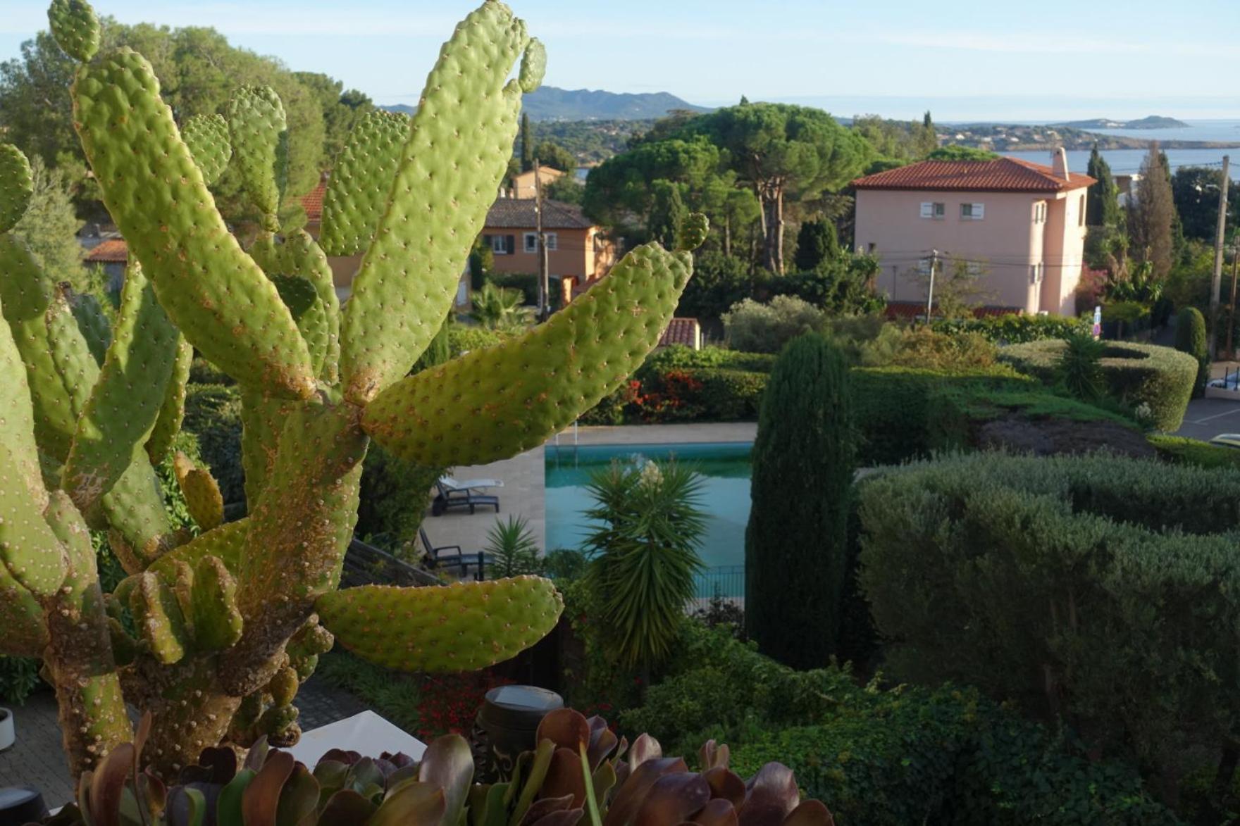 Les Jardins De Bandol, Piscine Privee, Belle Vue Mer Εξωτερικό φωτογραφία